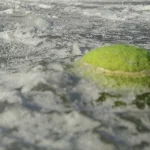 Frozen Pond