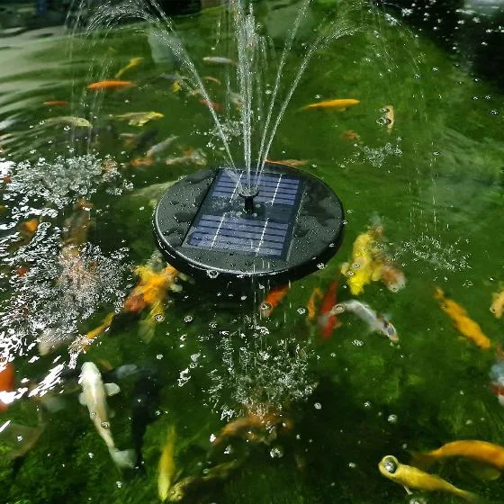 Solar Pond Fountain