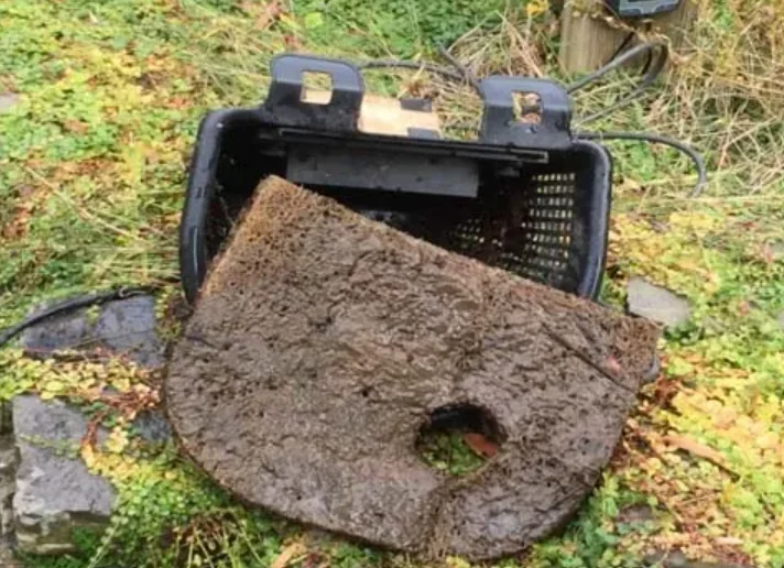 Dirty Pond Filter